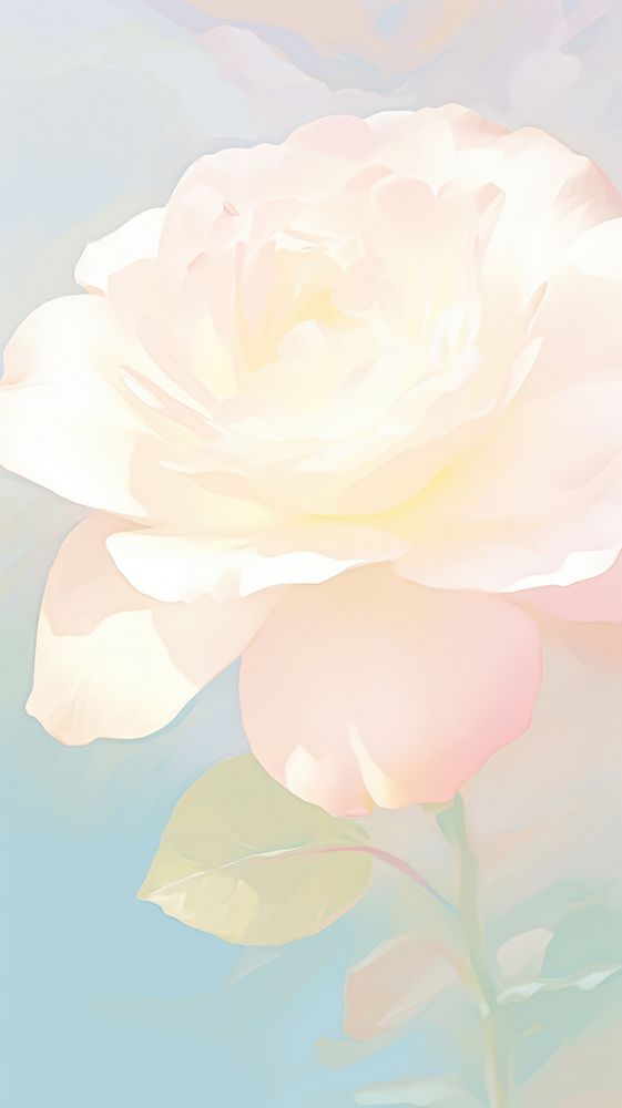Blurred gradient White rose painting blossom flower.