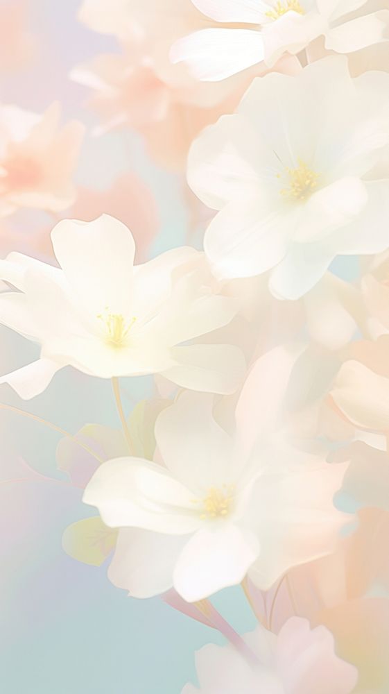 Blurred gradient White flower blossom anemone anther.