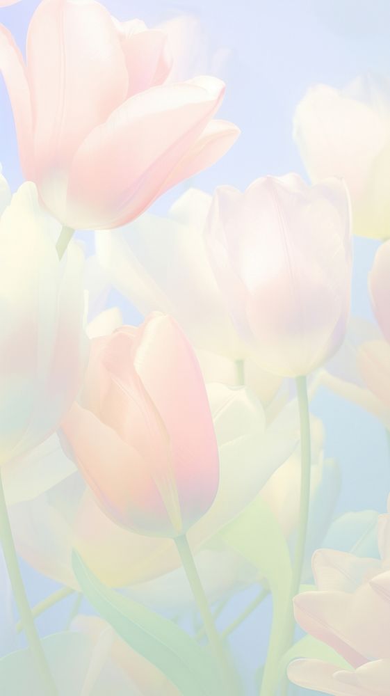 Blurred gradient Tulip tulip outdoors painting.