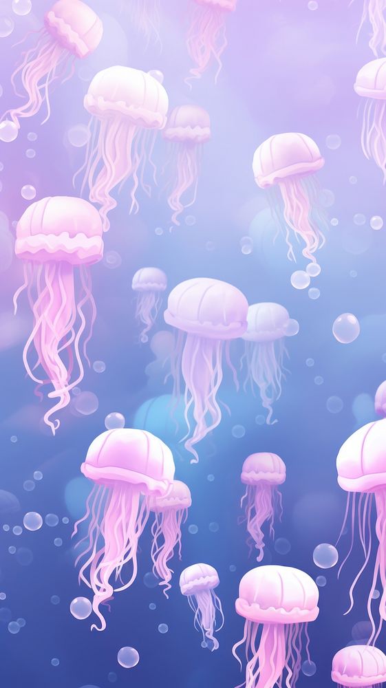 Many sizes of jellyfishes animal invertebrate person.