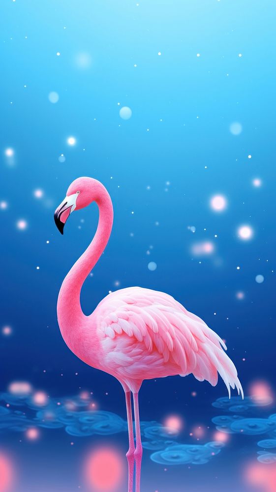 Pink flamingo animal astronomy outdoors.