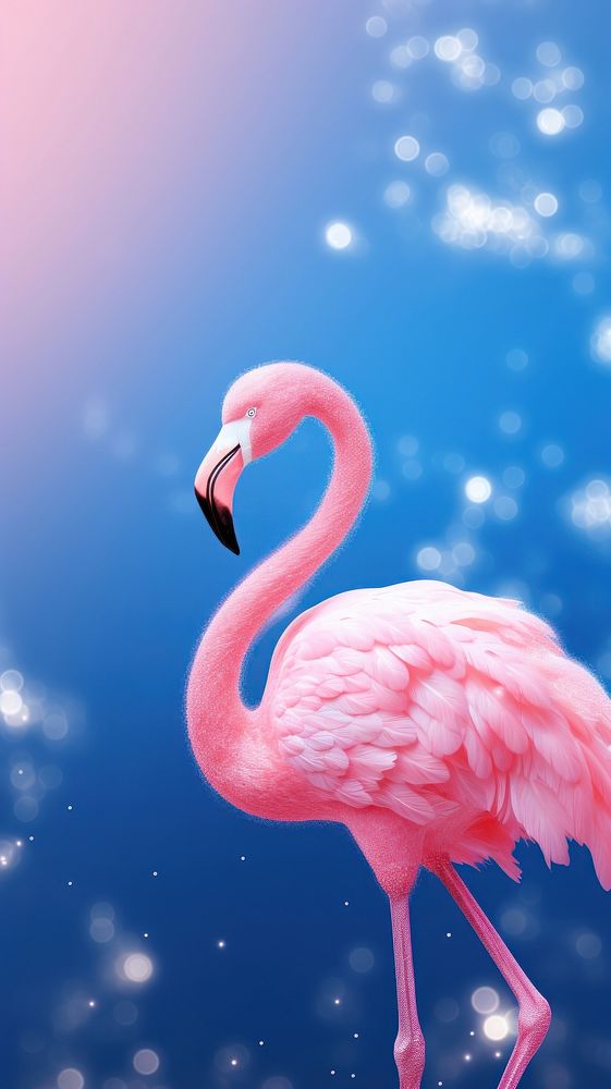 Pink flamingo animal astronomy outdoors.