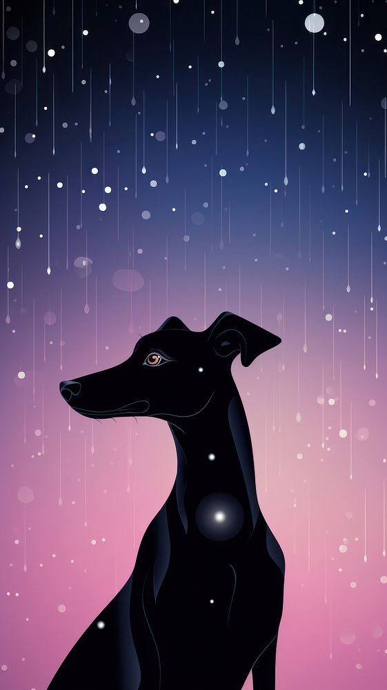 Smart greyhound animal silhouette outdoors.