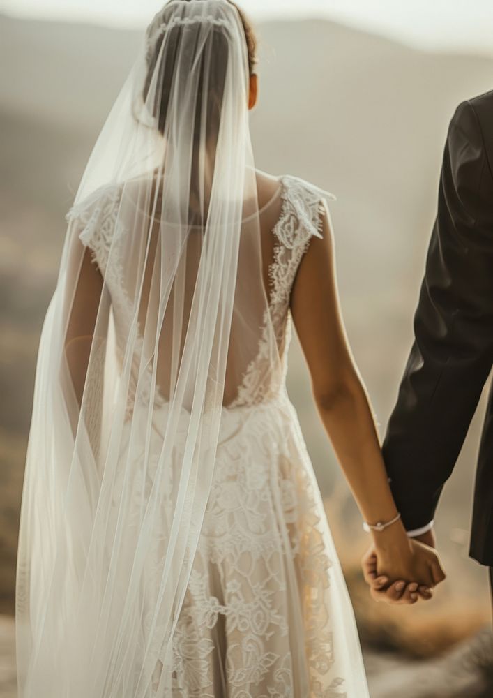 Wedding dress veil clothing apparel.