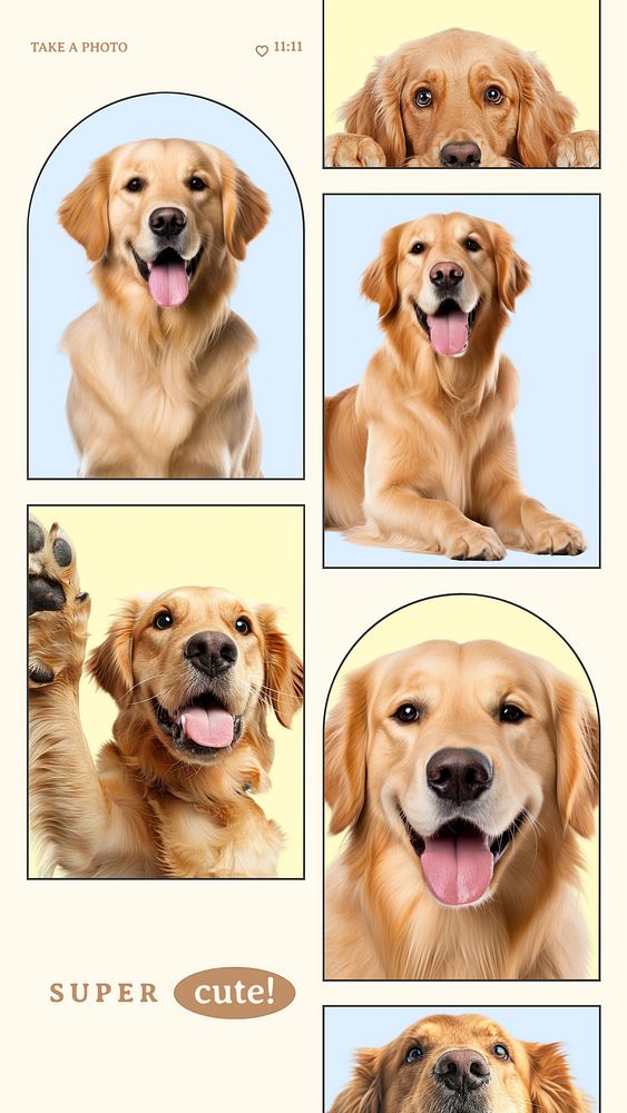 Cute dog frame photo collage