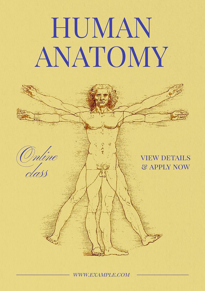 Human anatomy    poster template