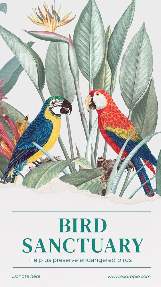 Bird sanctuary  Instagram story template
