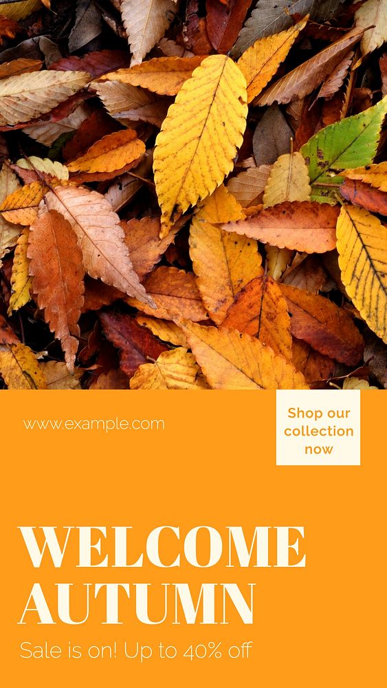 Autumn sale  Instagram story template