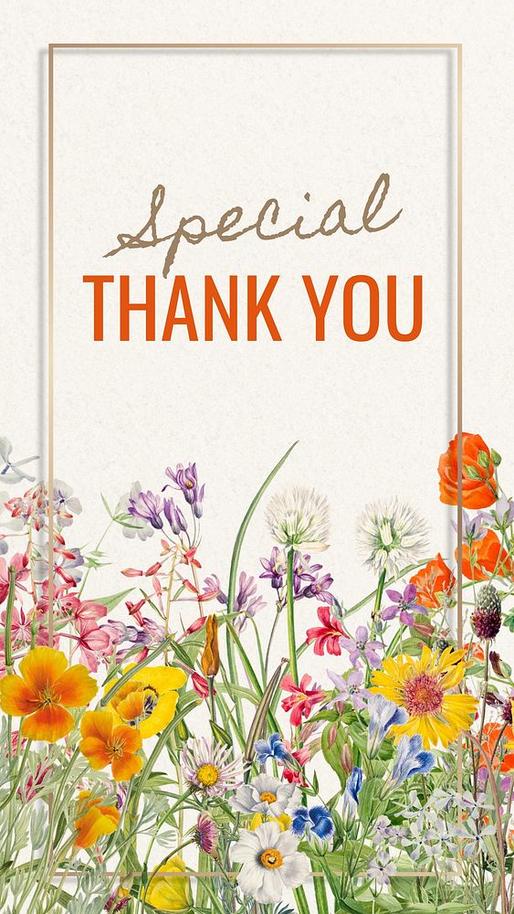 Special thank you Instagram story template