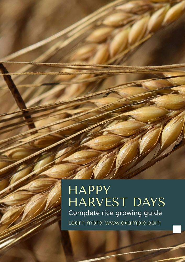 Happy harvest days  poster template