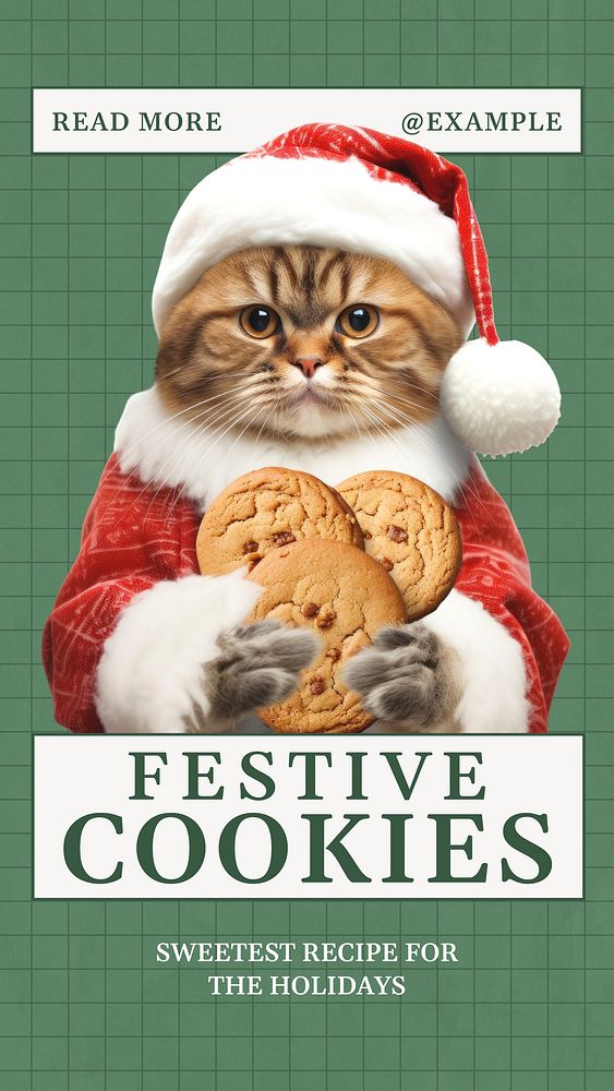 Festive cookie recipe Instagram story template
