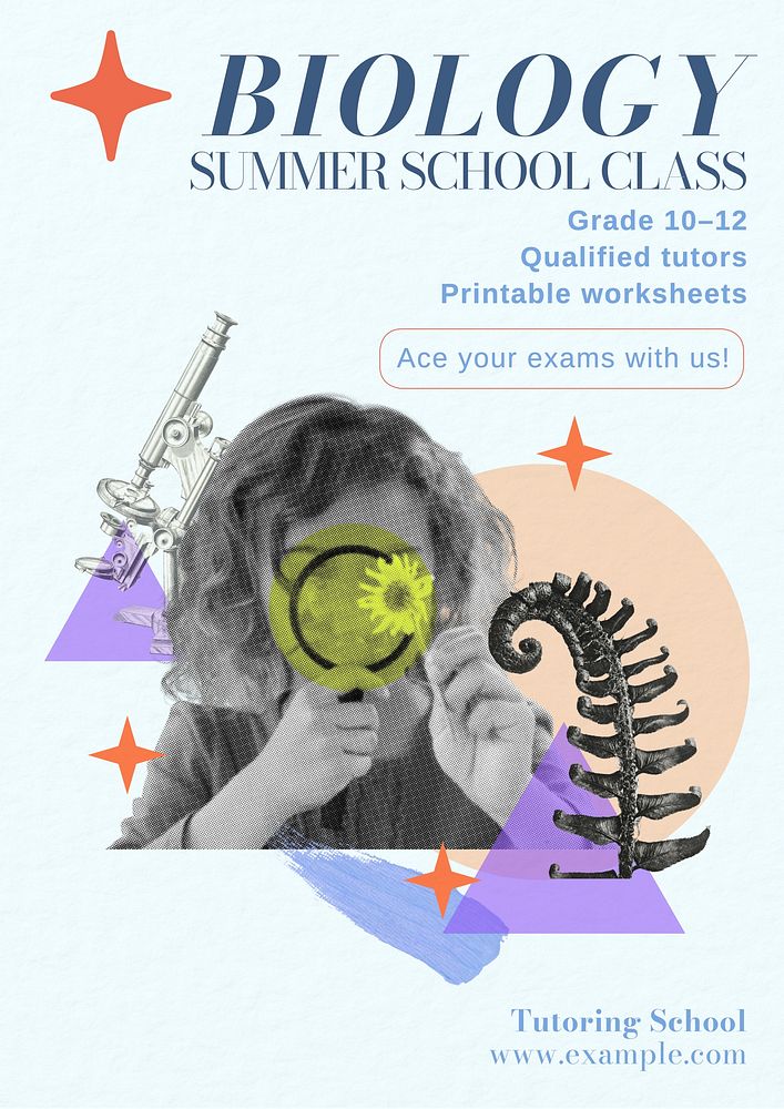 Summer school poster template and design