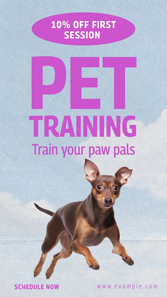 Pet training Instagram story template