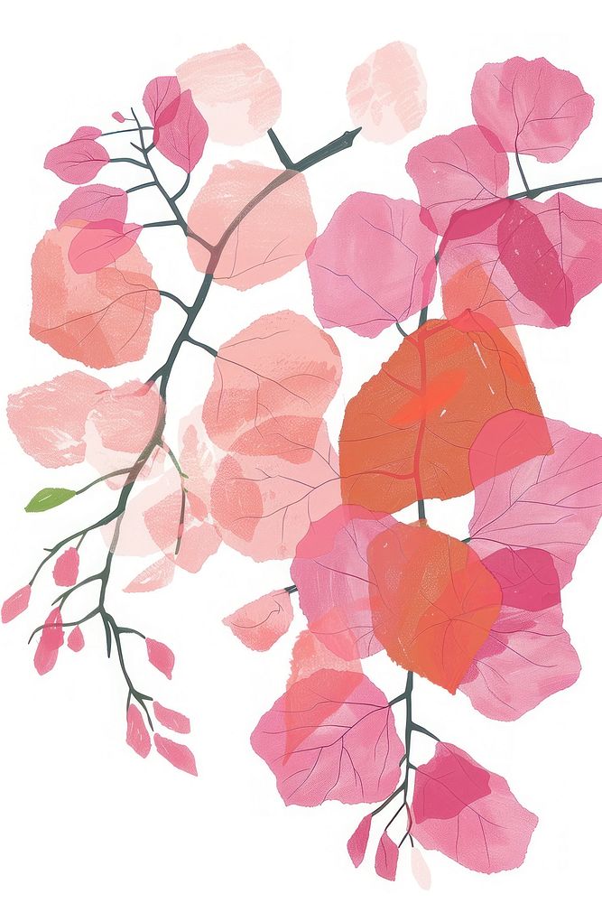 Bougainvillea graphics painting blossom.