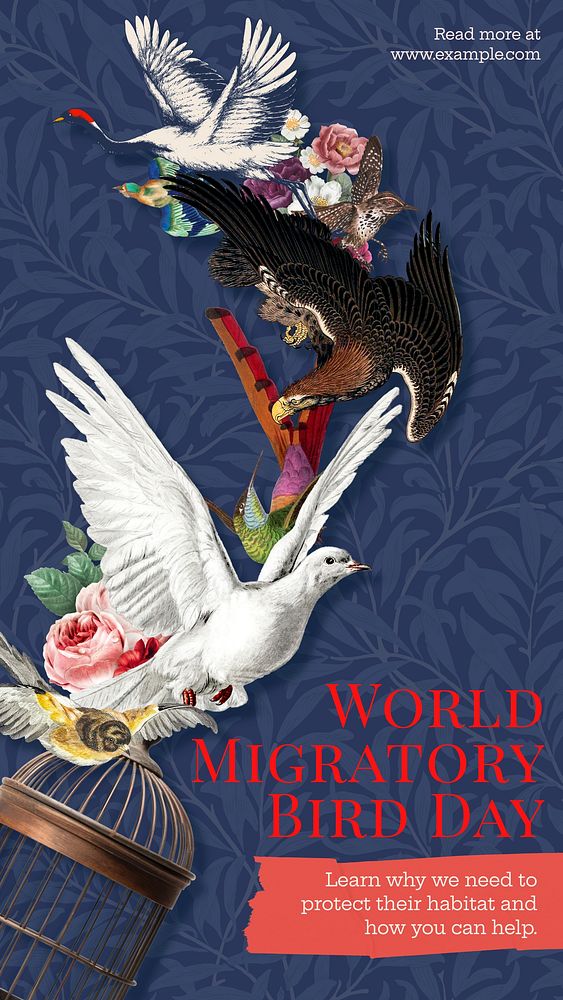 Migratory bird day Instagram story template