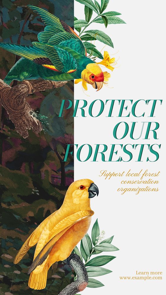 Protect Our Forest Instagram story template