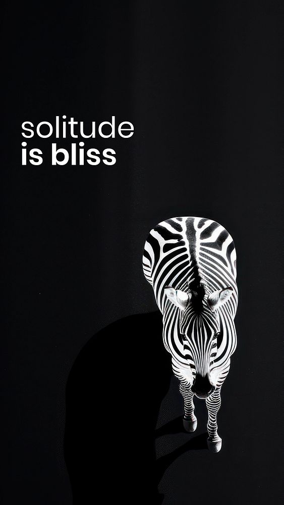 Solitude is bliss Instagram story template