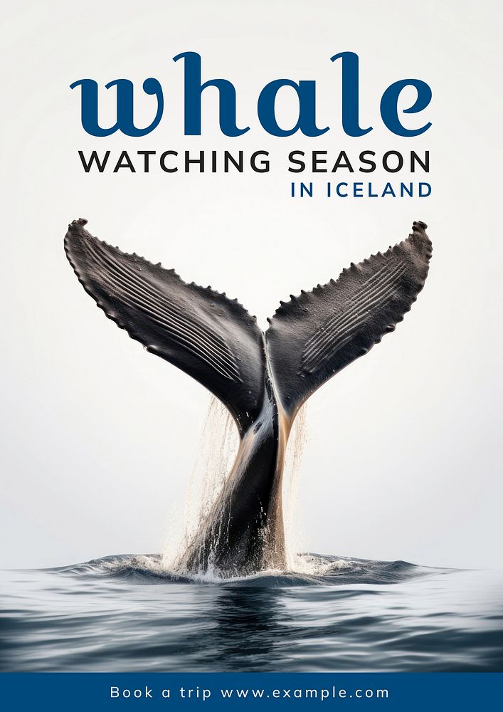 Whale watching season poster template and design