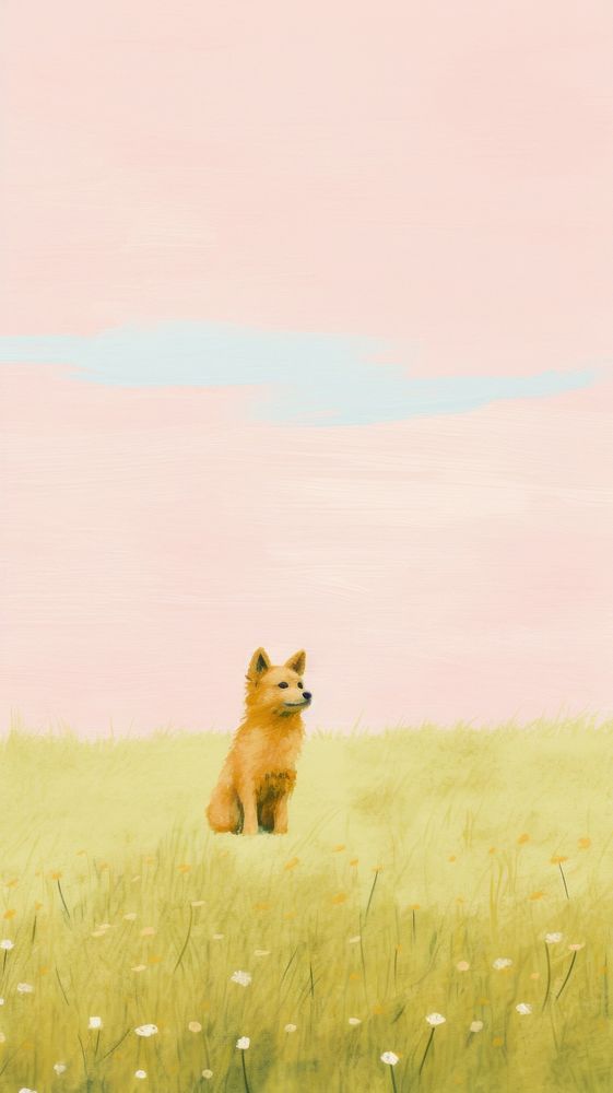 Dog in meadow grassland outdoors wildlife.
