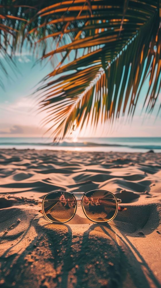 Palm with beach wallpaper sunglasses accessories accessory.