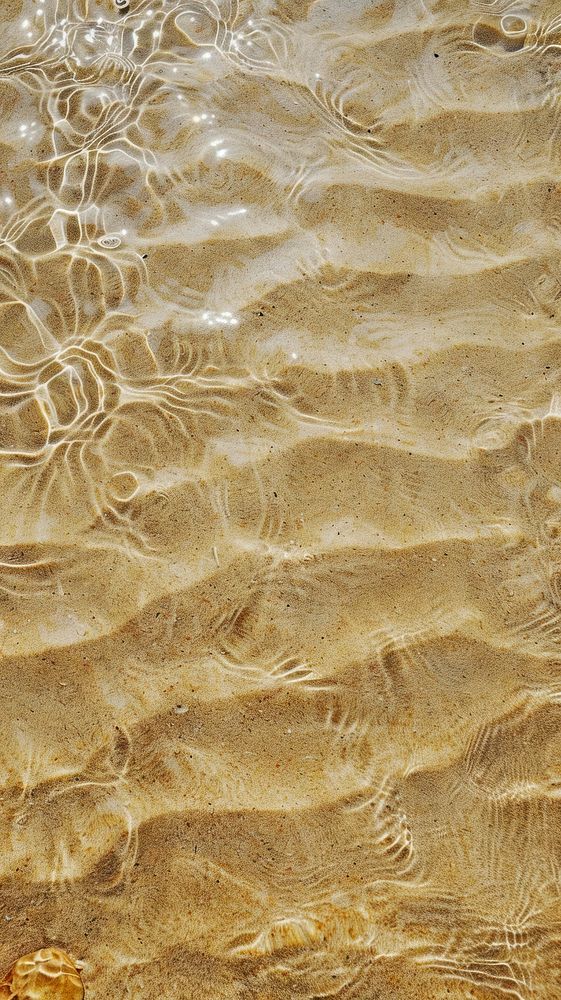 Beach wallpaper background sand outdoors texture.