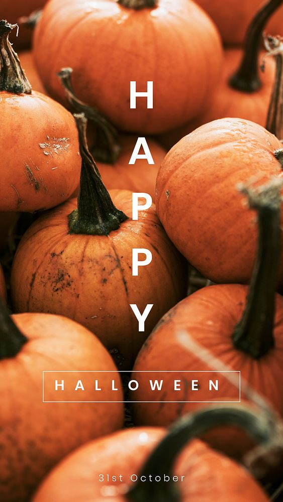 Cute halloween Instagram story template design