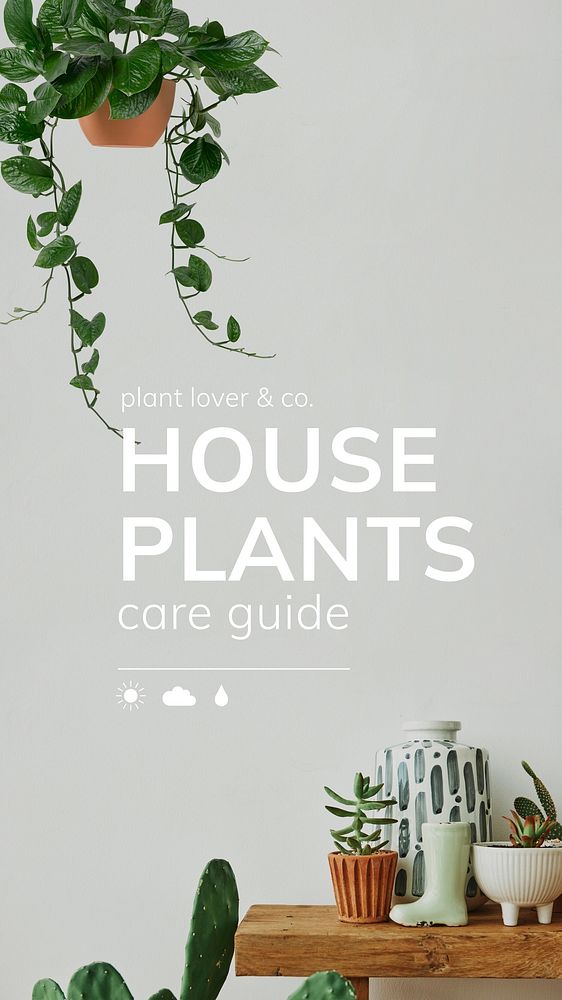 Houseplant guide Facebook story template