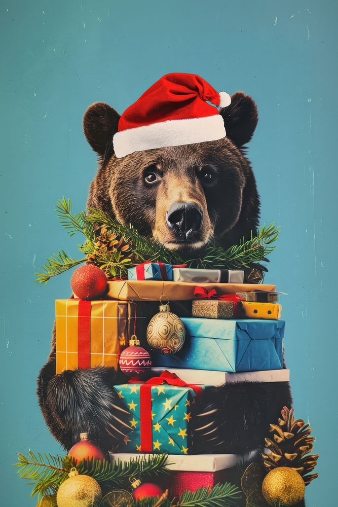 Bear christmas bear accessories.