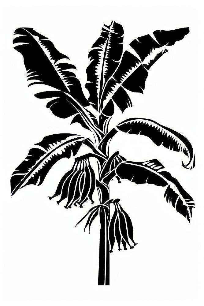 Banana tree silhouette arecaceae kangaroo.