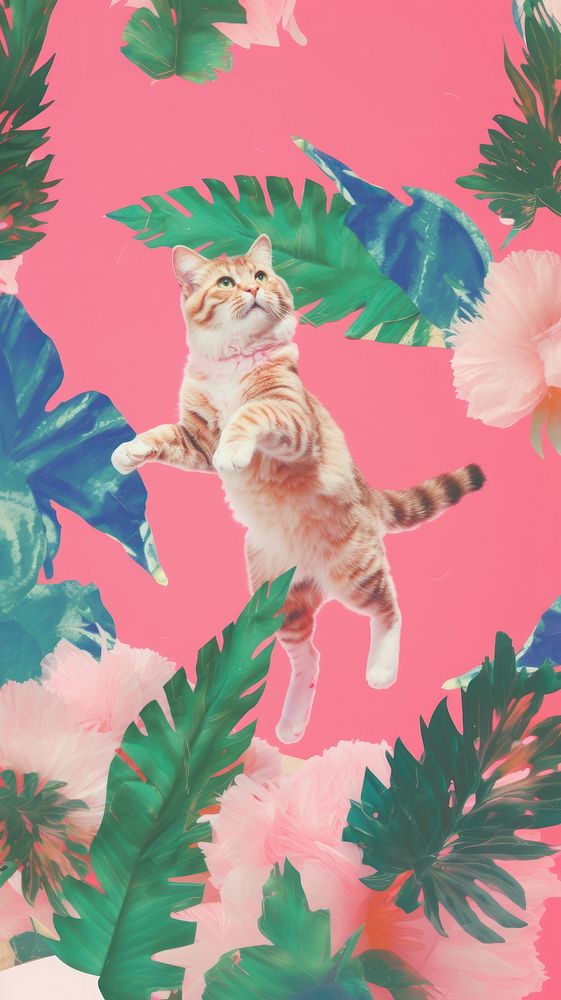 Cat pink hawaii dance vegetation painting outdoors.