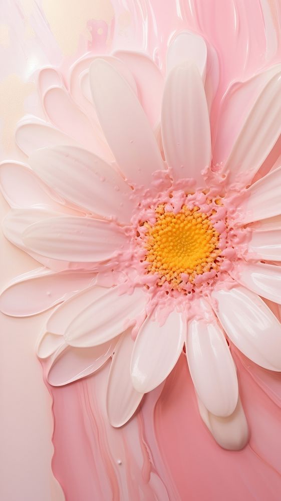 Daisy asteraceae blossom anemone.