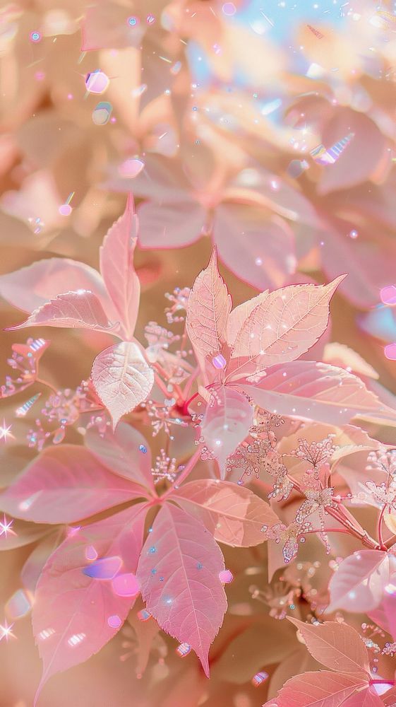 Pink leaves photo outdoors blossom flower.