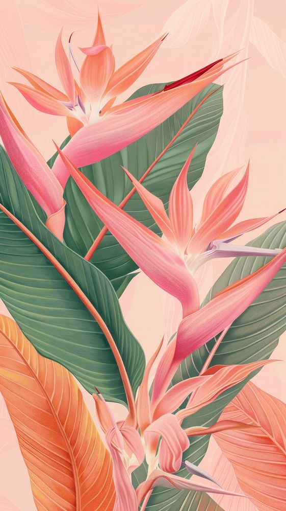 Wallpaper bird of paradise graphics painting pattern.