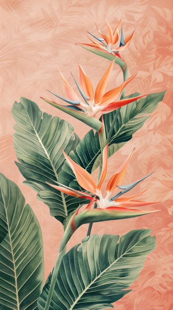 Wallpaper bird of paradise painting graphics blossom.