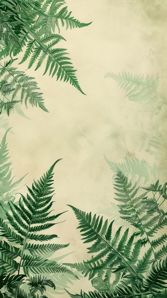Wallpaper fern leaves vegetation rainforest outdoors.