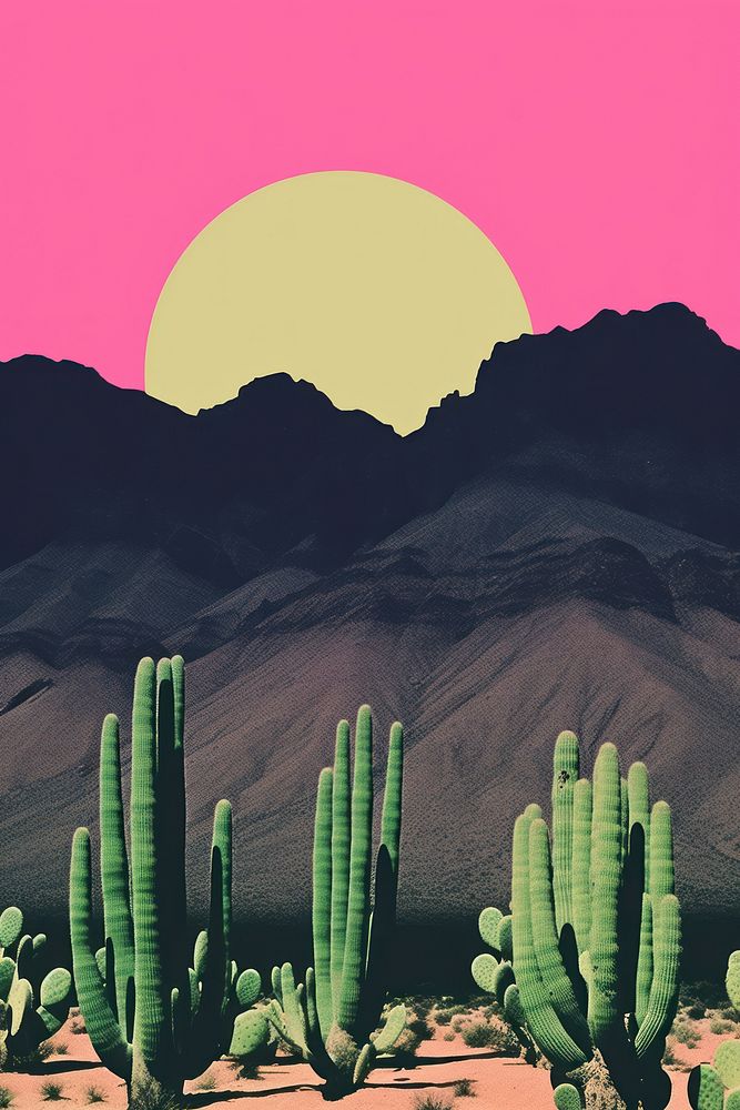 Retro collage of nature outdoors scenery cactus.