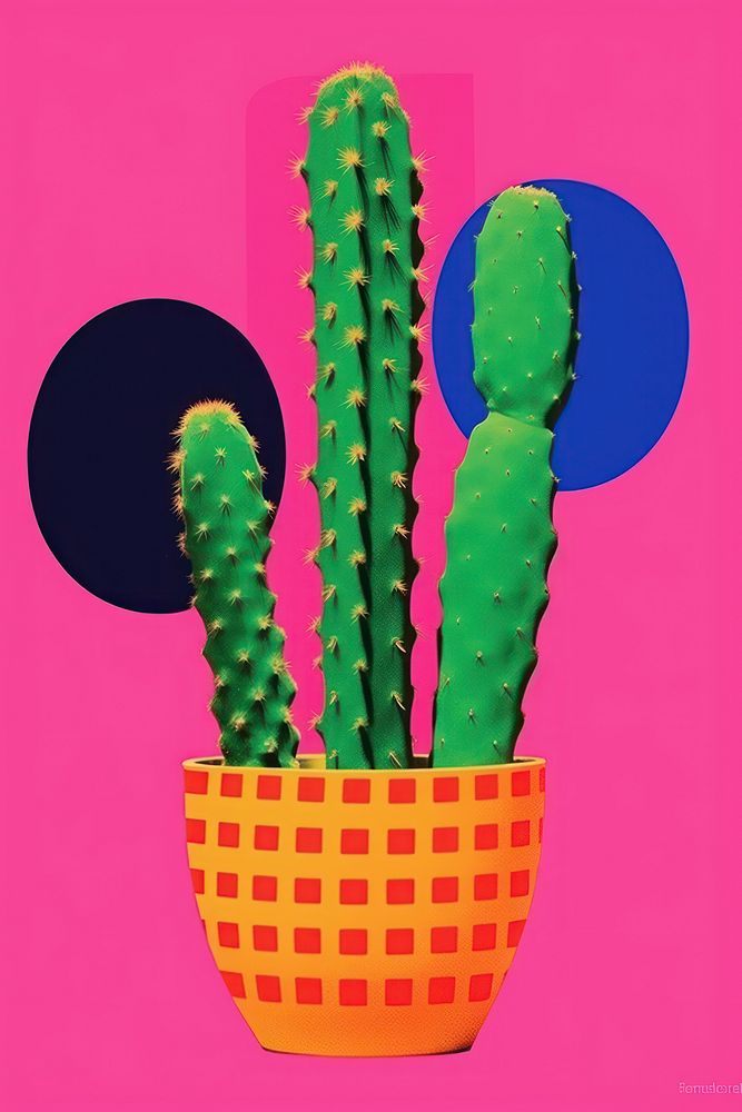 Minimal retro collage of cactus plant.