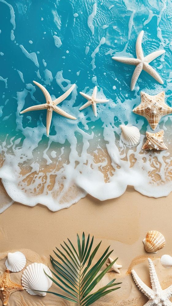 Creative summer background invertebrate seashell outdoors.