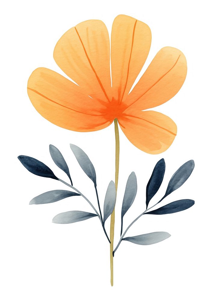 Watercolor floral flower illustrated graphics.