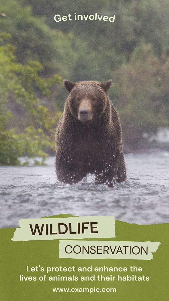 Wildlife conservation  Instagram story template