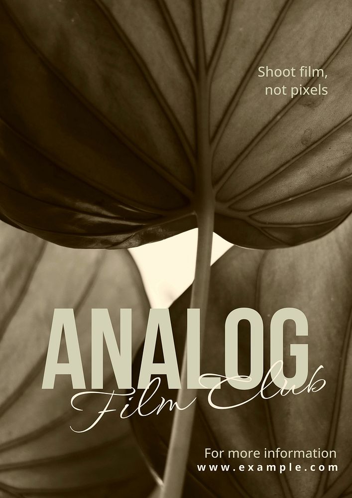 Analog film club poster template