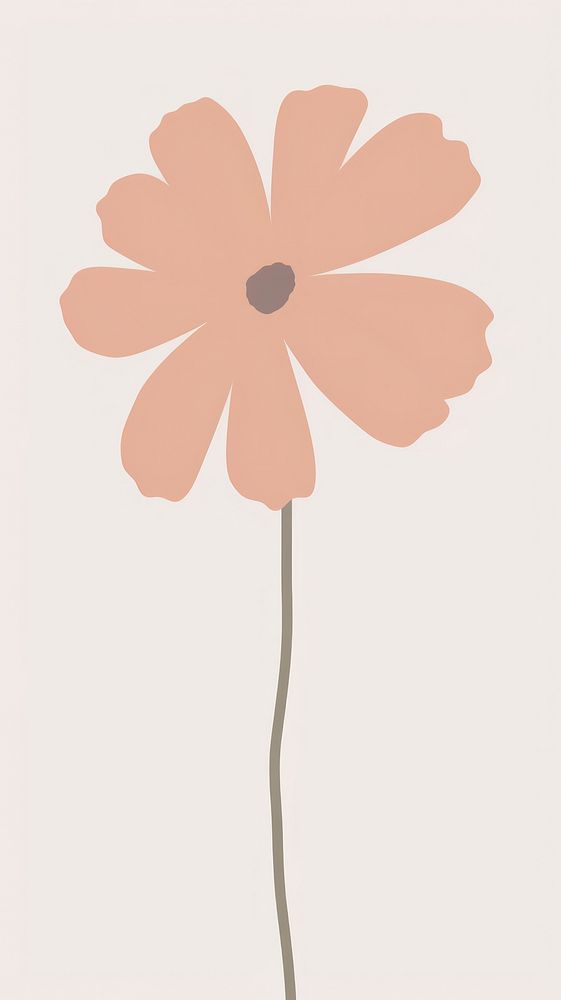 Illustration of a simple flower asteraceae blossom anemone.