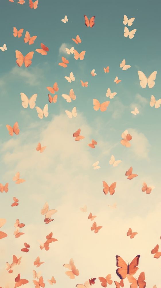 Butterflies on sky outdoors blossom flower.