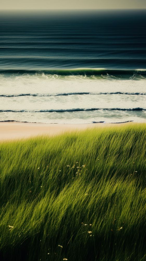 Photography of beach landscape green field.