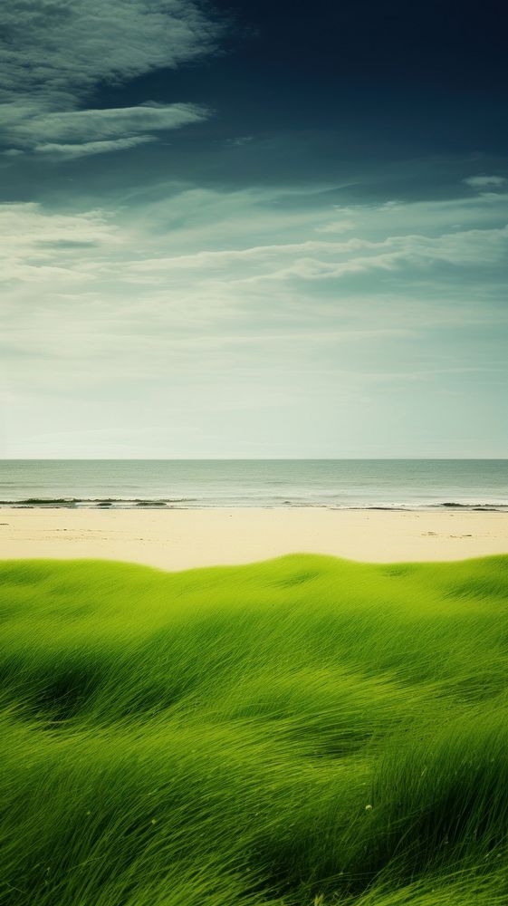 Photography of beach landscape green field.