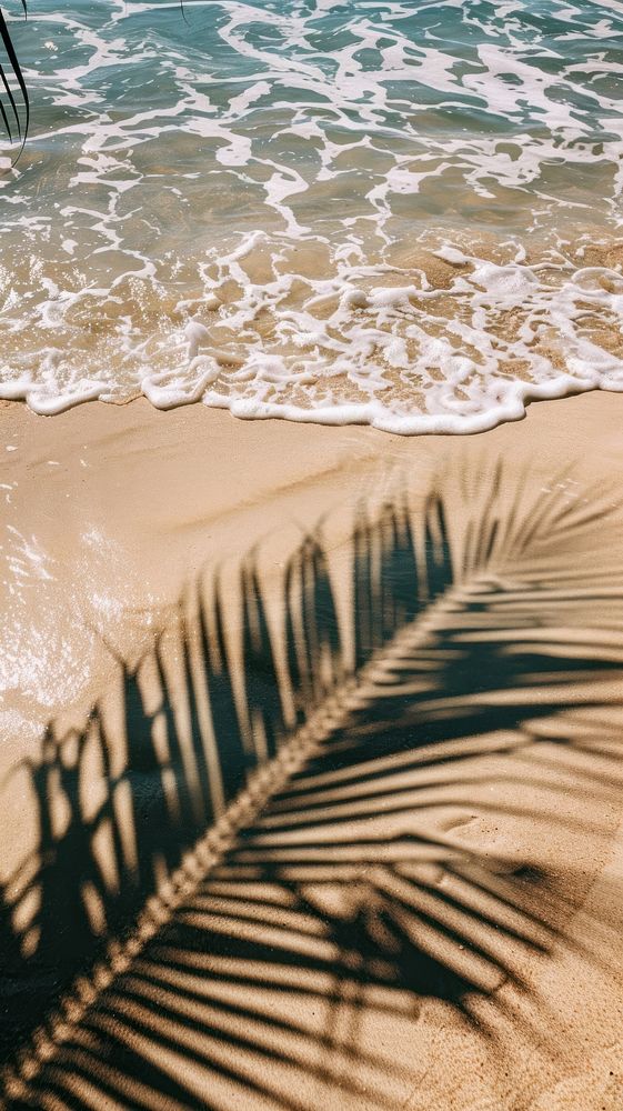 Serene tropical beach shadow scene