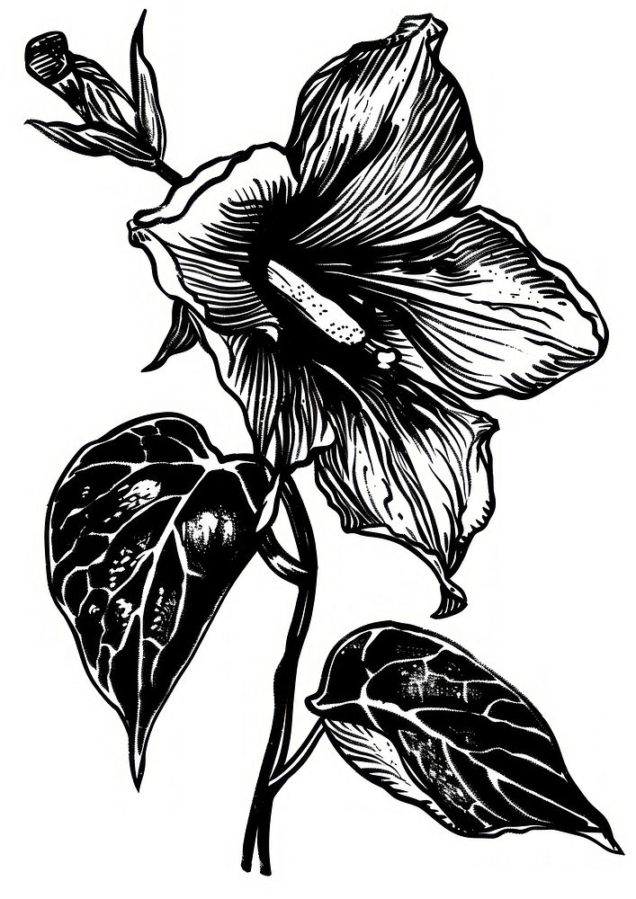 Detailed black and white flower illustration