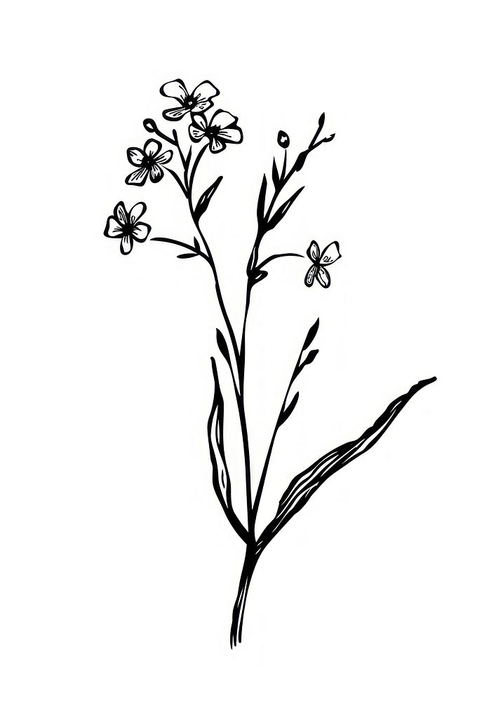 Elegant black and white floral illustration