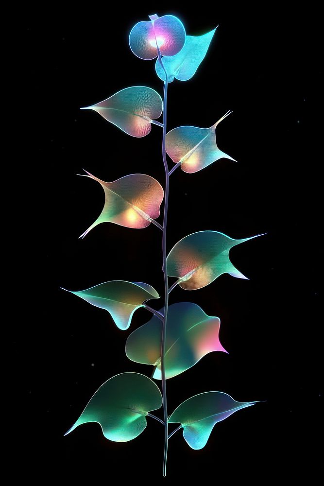 Fantasy plant background leaves black.