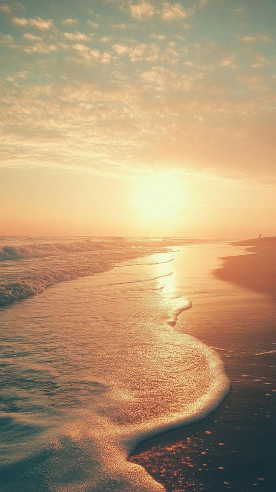 Beach horizon sunset ocean.